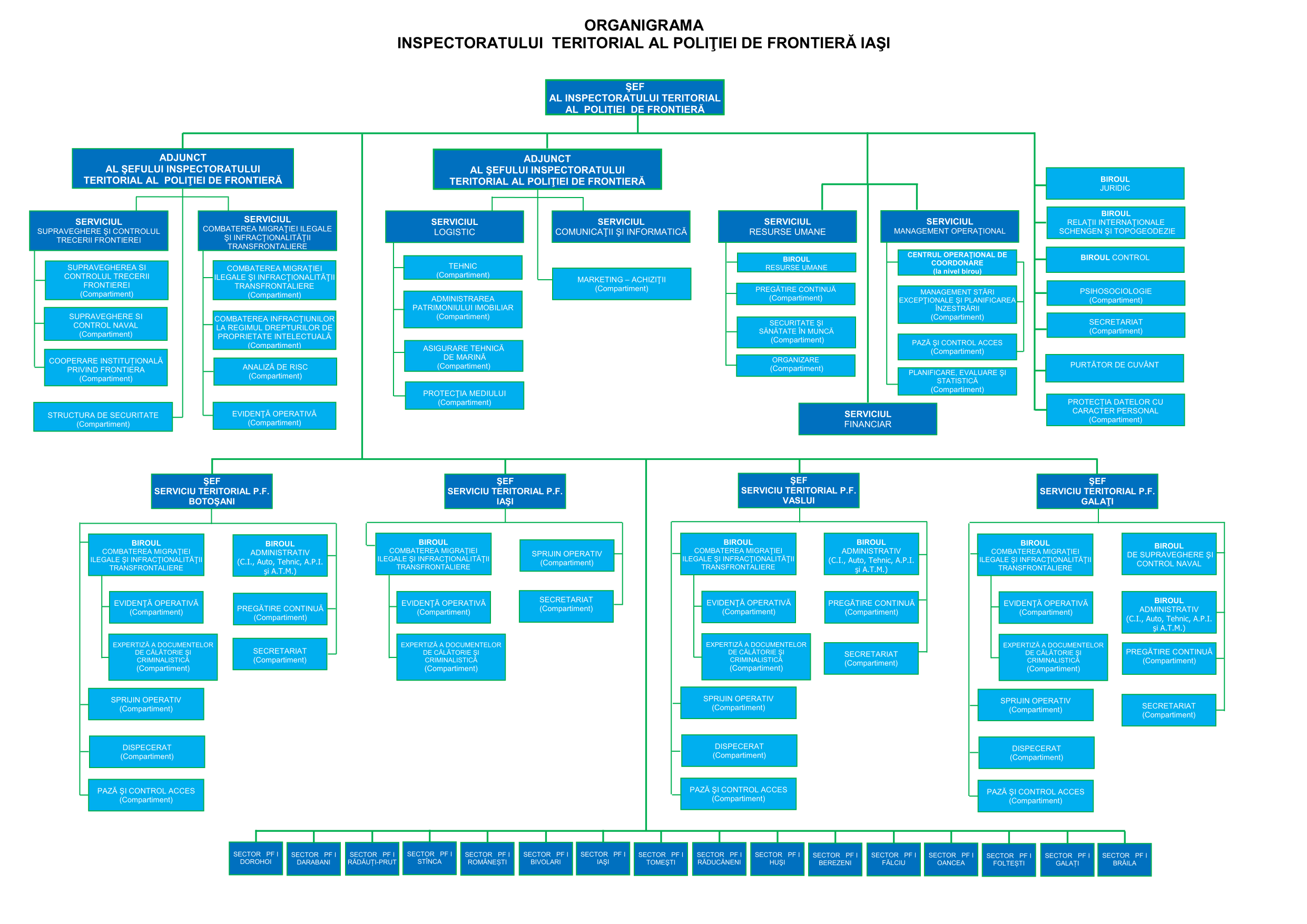 Organigrama