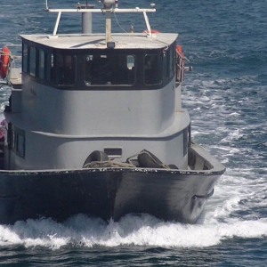 Două pescadoare din Turcia surprinse la braconat în