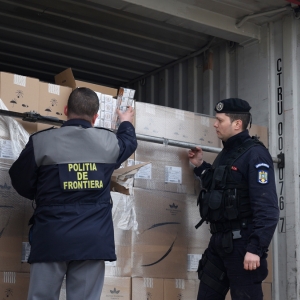 Colaborare institutionala pentru securizarea frontierei cu