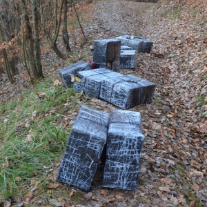 5 focuri de armă la frontieră pentru reţinerea