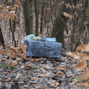 5 focuri de armă la frontieră pentru reţinerea