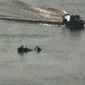 Pescari din Pardina, aflati in dificultate pe Dunare,