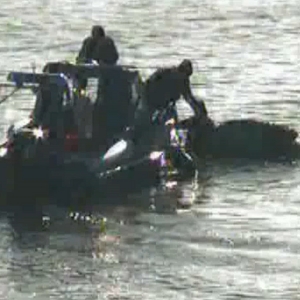 Pescari din Pardina, aflati in dificultate pe Dunare,