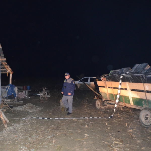 Captură record de ţigări la frontiera de Est - Peste 60.000 pachete de ţigări de contrabandă confiscate