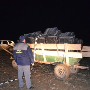 Captură record de ţigări la frontiera de Est - Peste