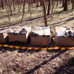 Captură record de ţigări la frontiera de Est - Peste