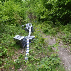 Aproximativ 7.500 pachete țigări de contrabandă