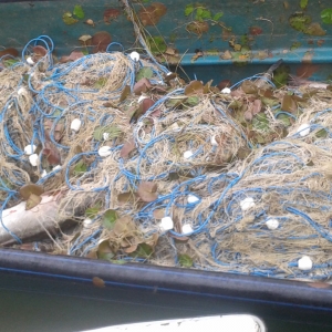 Percheziţii la domiciliile unor tulceni suspectaţi de