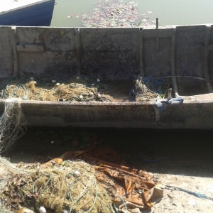 Percheziţii la domiciliile unor tulceni suspectaţi de