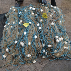 Percheziţii la domiciliile unor tulceni suspectaţi de