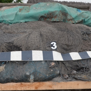 Percheziţii la domiciliile unor tulceni suspectaţi de