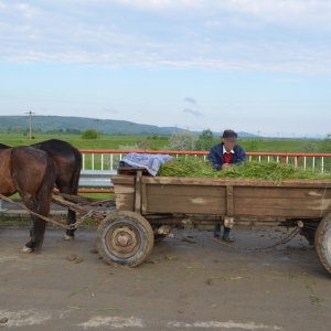 Zeci de mii de țigarete de contrabandă, descoperite