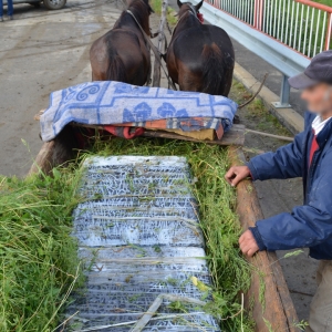 Zeci de mii de țigarete de contrabandă, descoperite