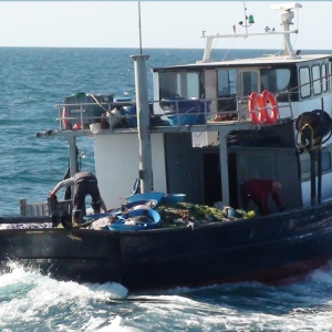 Acţiune de cooperare româno-turcă pentru reţinerea