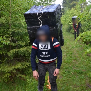 6.000 pachete de ţigări confiscate la frontiera de nord