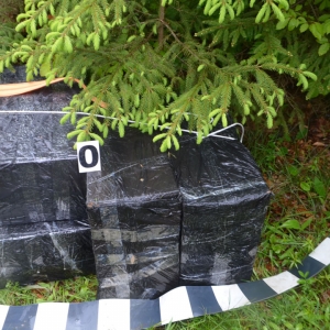 6.000 pachete de ţigări confiscate la frontiera de nord