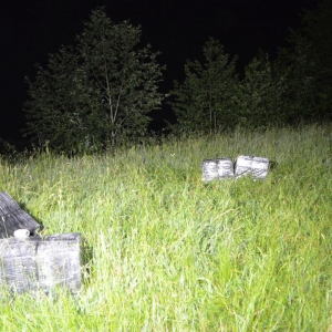 Focuri de armă pentru reținerea unor contrabandiști de țigări