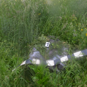 Mii de pachete de țigări de contrabandă depistate la frontiera de nord a României