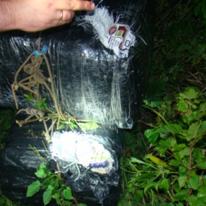 Tânăr surprins în flagrant, pe malul Prutului