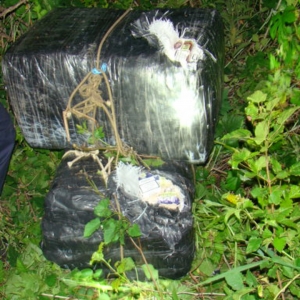 Tânăr surprins în flagrant, pe malul Prutului