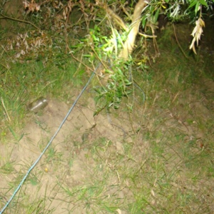 Tânăr surprins în flagrant, pe malul Prutului