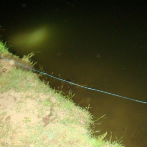 Tânăr surprins în flagrant, pe malul Prutului