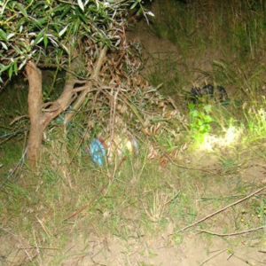 Tânăr surprins în flagrant, pe malul Prutului