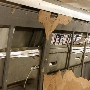 Zeci de mii de comprimate cu substanțe anabolizante, ascunse într-un microbuz