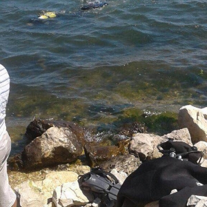 Doi constănţeni, prinşi în timp ce pescuiau ilegal rapană din Marea Neagră