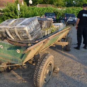 Contrabandă cu căruţa pe malul Prutului