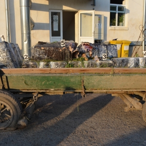 Contrabandă cu căruţa pe malul Prutului
