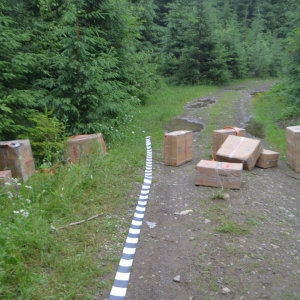 Peste 21.000 pachete cu ţigări de contrabandă confiscate de către polițiștii de frontieră