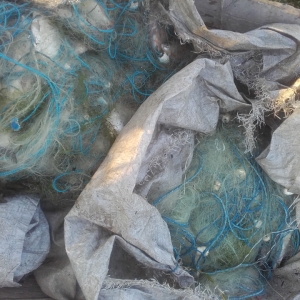 Transport de pește fără documente legale