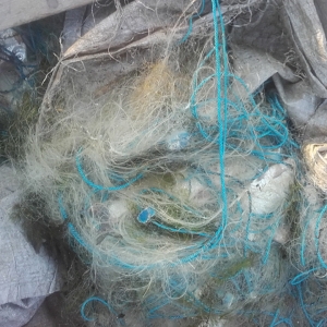 Transport de pește fără documente legale