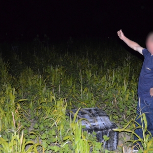 Ţigări în valoare de aproximativ 65.000 lei, confiscate la frontieră