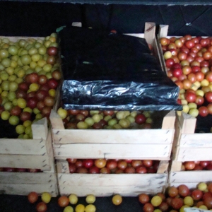 Aproximativ 8.000 de ţigarete disimulate în lădiţele cu fructe, depistate la PTF Galaţi-rutier