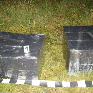 Contrabandişti surprinşi cu ţigările în spate pe malul râului Prut