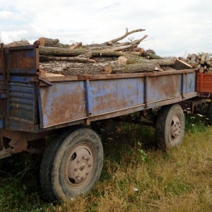 Material lemnos în valoare de 1.300 lei confiscat de poliţiştii de frontieră călărăşeni