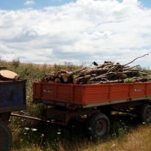 Material lemnos în valoare de 1.300 lei confiscat de poliţiştii de frontieră călărăşeni
