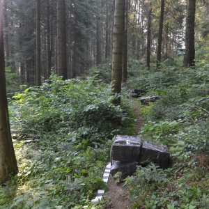 Aproximativ 10.000 pachete ţigări de contrabandă depistate în ultimele 24 de ore la frontiera de nord a României