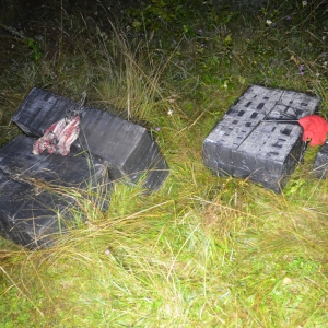 Aproximativ 10.000 pachete ţigări de contrabandă depistate în ultimele 24 de ore la frontiera de nord a României