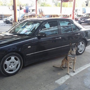Cei doi tineri prinşi cu droguri la Sculeni au fost arestaţi preventiv pentru 30 de zile