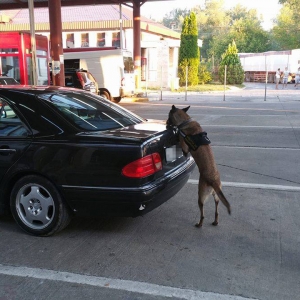 Cei doi tineri prinşi cu droguri la Sculeni au fost arestaţi preventiv pentru 30 de zile