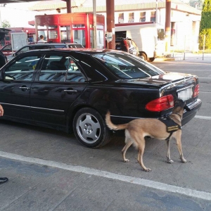 Cei doi tineri prinşi cu droguri la Sculeni au fost arestaţi preventiv pentru 30 de zile