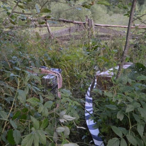 Ţigări de contrabandă confiscate la frontiera de nord a României