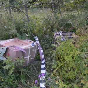 Ţigări de contrabandă confiscate la frontiera de nord a României