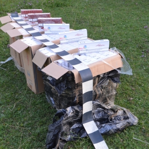Ţigări de contrabandă confiscate la frontiera de nord a României