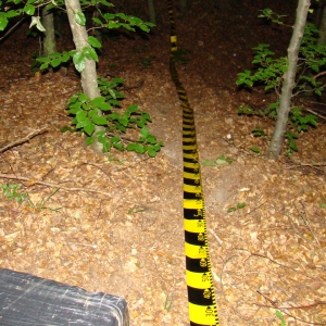 Focuri de armă pentru reţinerea contrabandiştilor, la frontiera de nord-est