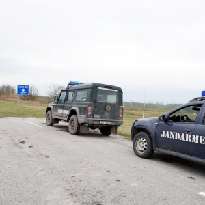 Acţiuni comune de asigurare a ordinii publice şi creşterii gradului de siguranţă la frontiera de Sud-Vest a României