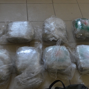 Doi cetăţeni sârbi au încercat să introducă